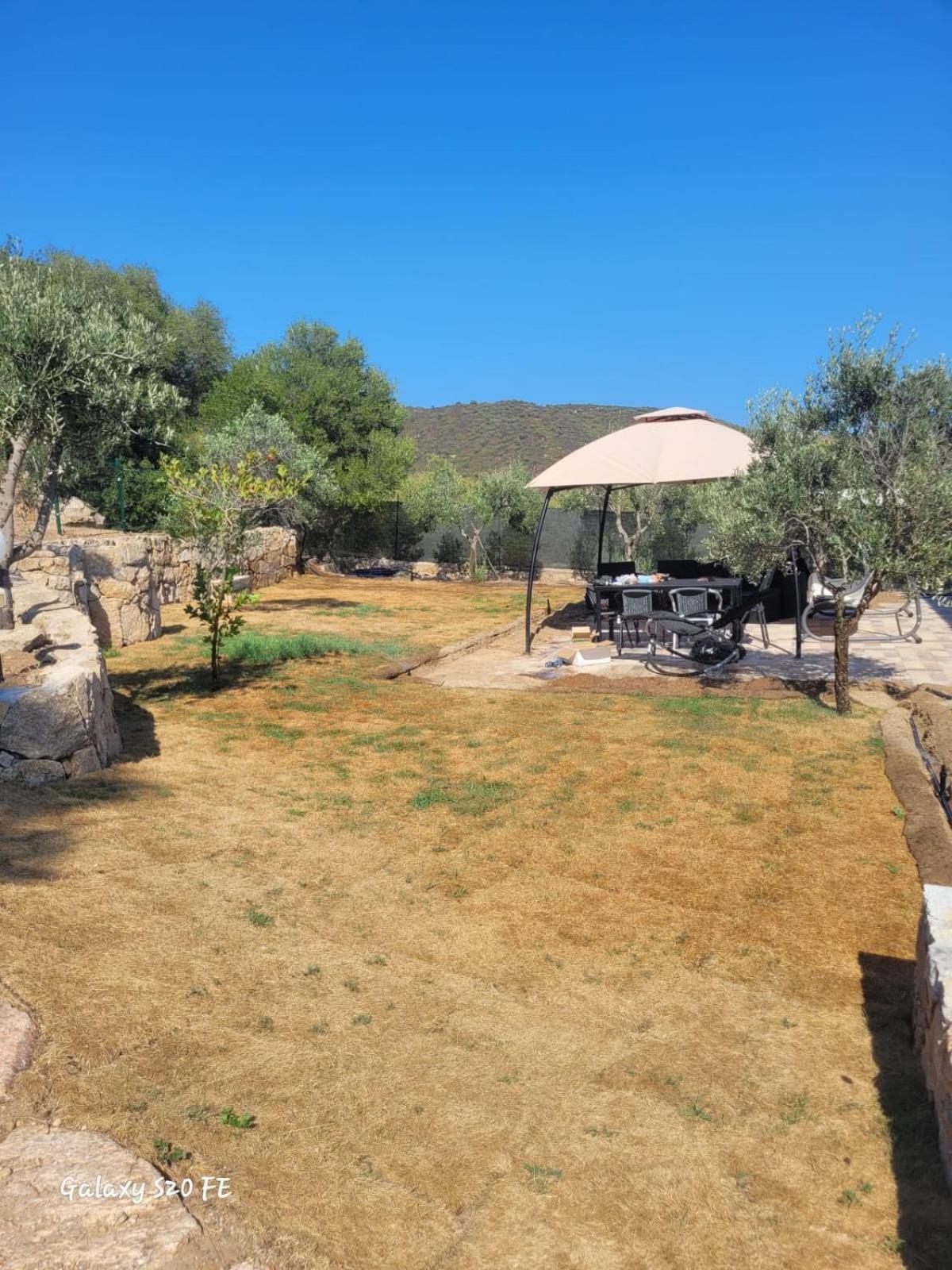 Residenza Degli Ulivi Apartment Olbia Luaran gambar