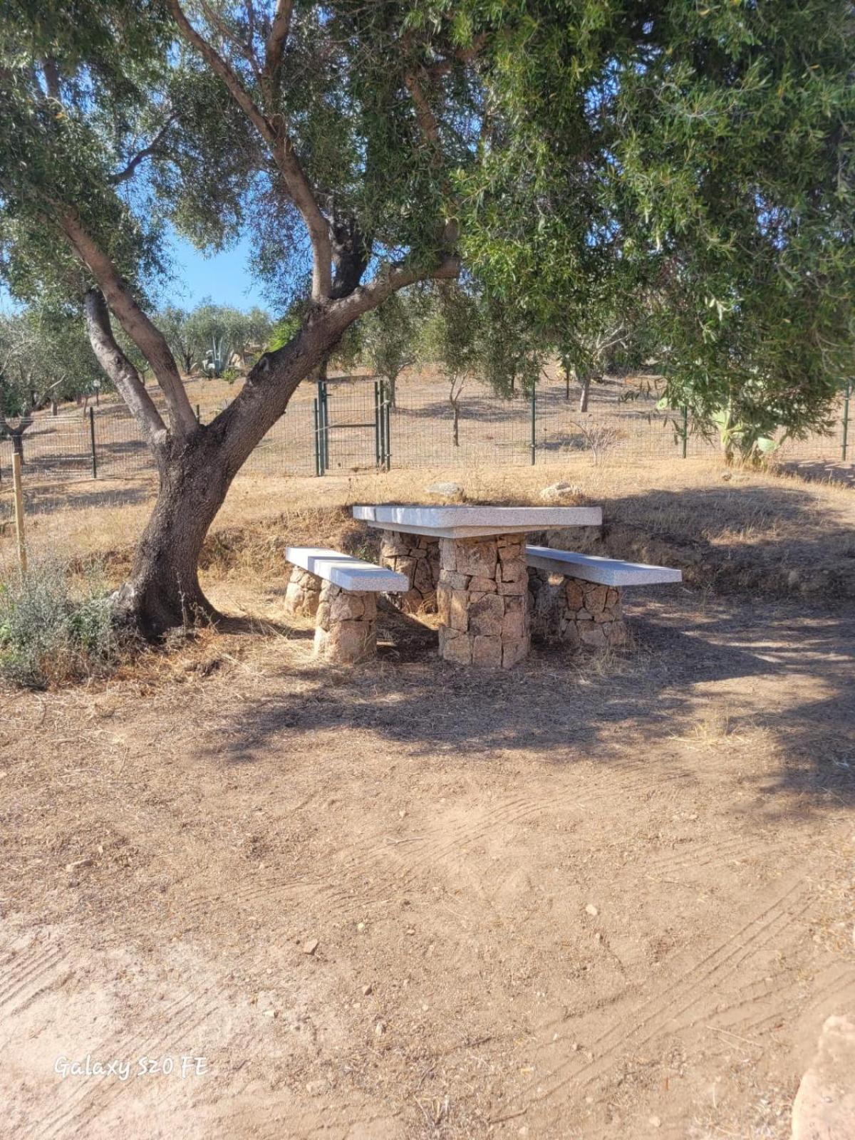 Residenza Degli Ulivi Apartment Olbia Luaran gambar